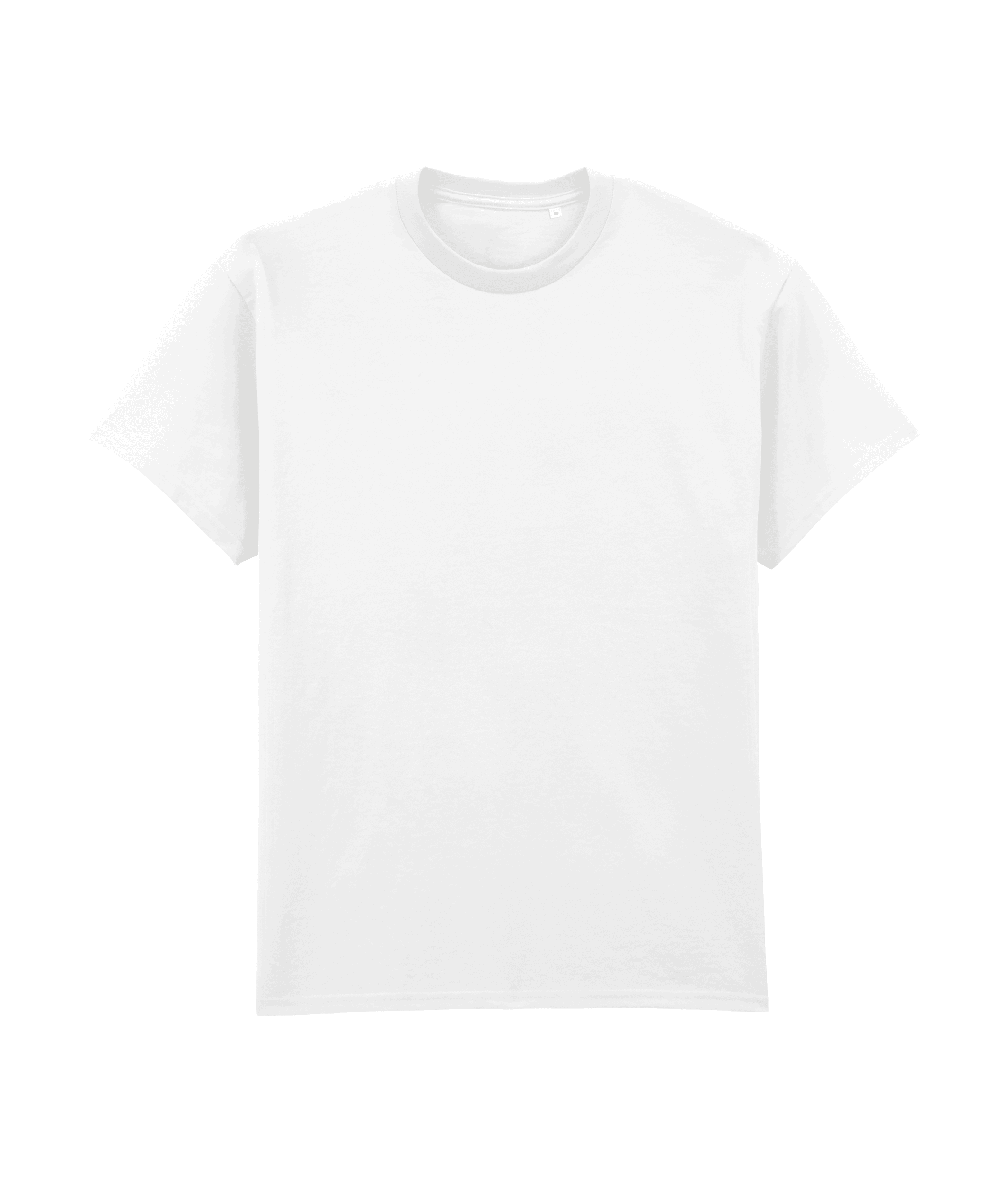 T-shirt Ultra Cotton adulte — coloris PREPARED FOR DYE (Blanc)
