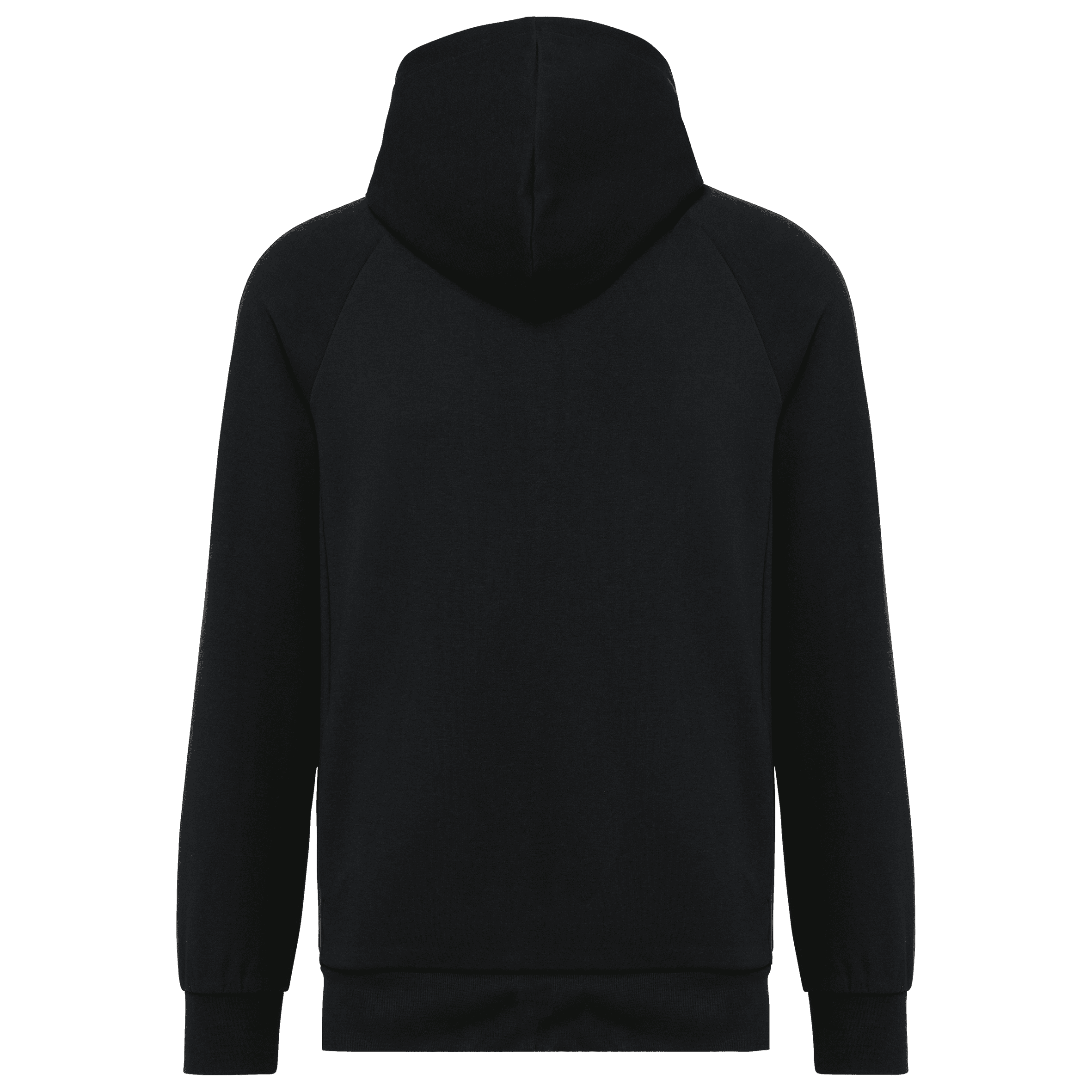 Veste zippée à capuche homme — coloris Black (Noir)