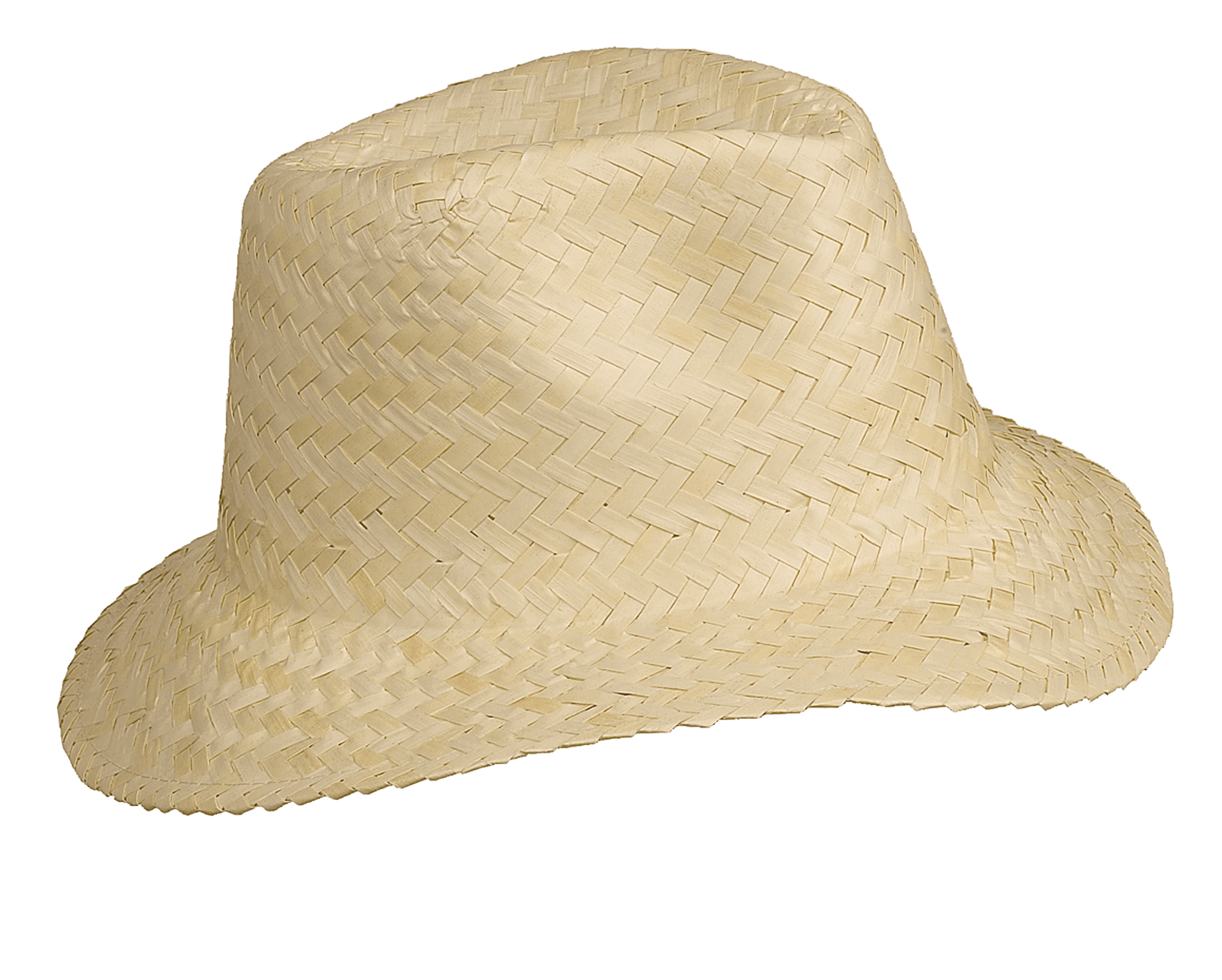 Panama - Chapeau — coloris Natural (Beige)
